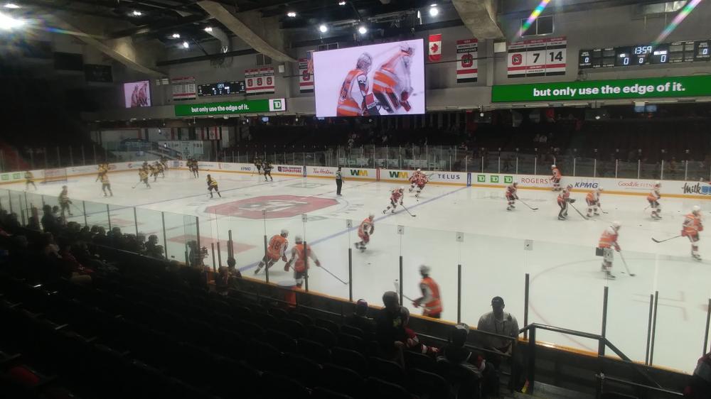 Brantford Bulldogs versus Ottawa 67's at TD Place on November 17th 2024