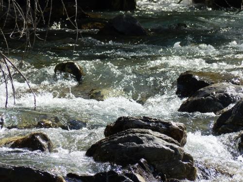 Le long de la Rouanne (Ancelle - Champsaur)