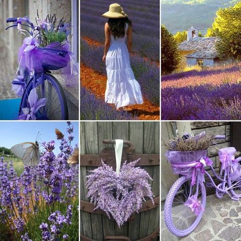 Collages violets