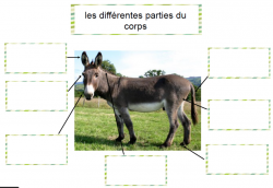 Vocabulaire - La ferme