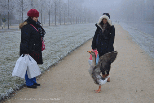 Rambouillet : Une rencontre inattendue !