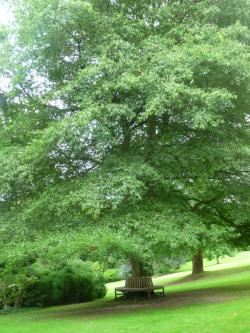 En vacances il y a eu / 2/