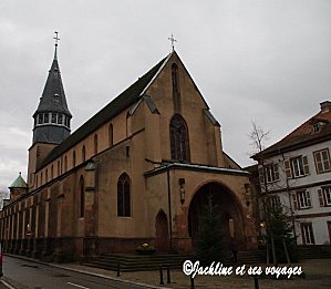 Imgp7536redimmarq