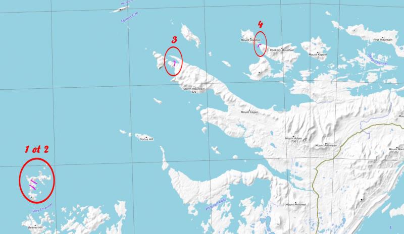 6 mars 2019 : dernier débarquement aux Falkland sur l'île Saunders