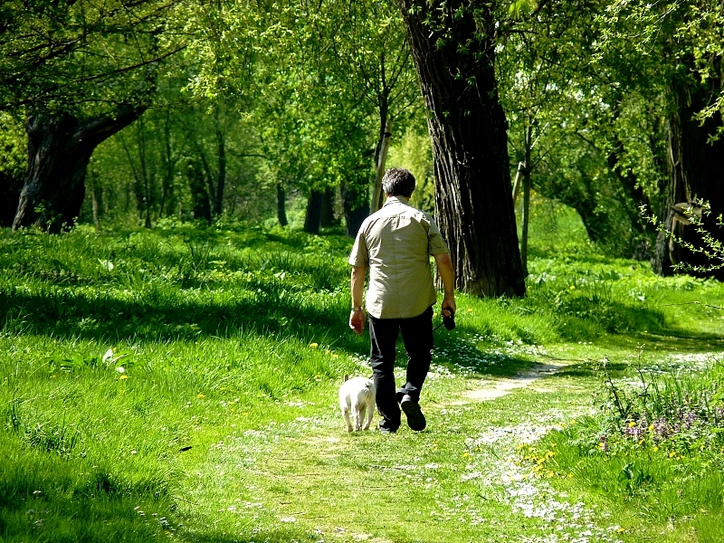 Metz / Un printemps Ying et Yang...