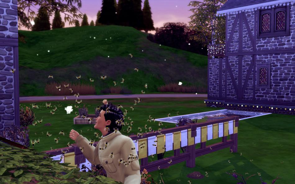 [CALF] Printemps 3 - Semaine 12 - Jours 79 à 82