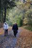 La randonnée du 21 novembre à Beaumont-en-Auge