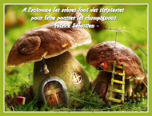 Beautés de l'automne ...