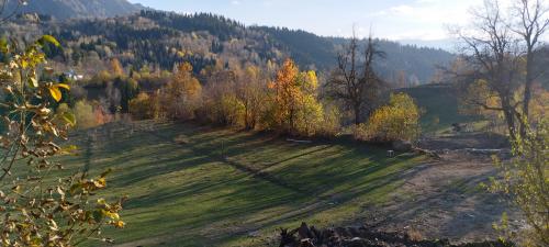 ARTVIN et la montagne 2/2