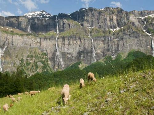 Cirque du Fer-à-Cheval