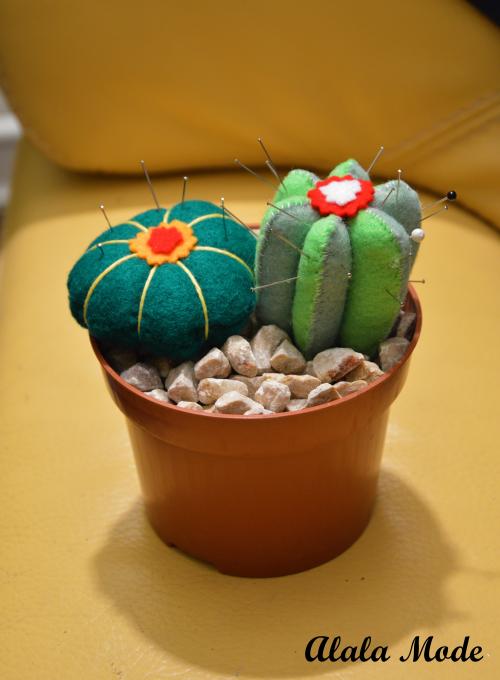 Le monde entier est un cactus
