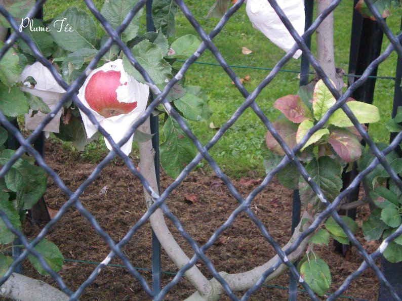 Image041.jpg