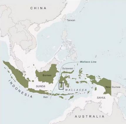 8 - L'expansion des Homo sapiens
