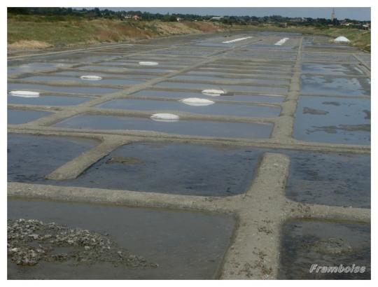 Salines de Millac Les Moutiers en Retz