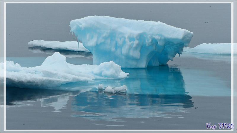 Derniers émerveillements dans la Mer des Tchouktches - Alaska