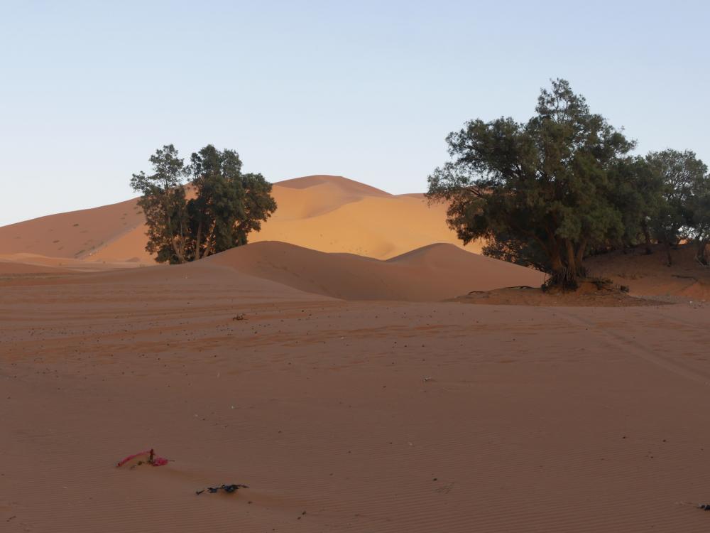 Les dunes de Merzouga