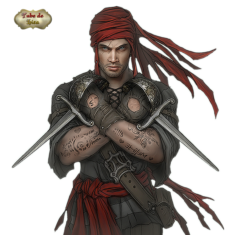 Pirates série 20