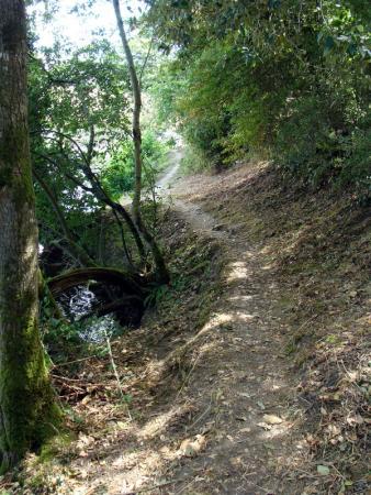 etang_du_Val_St_Martin_Pornic__19_