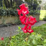 La balade du 17 octobre à Douvres-la-Délivrande