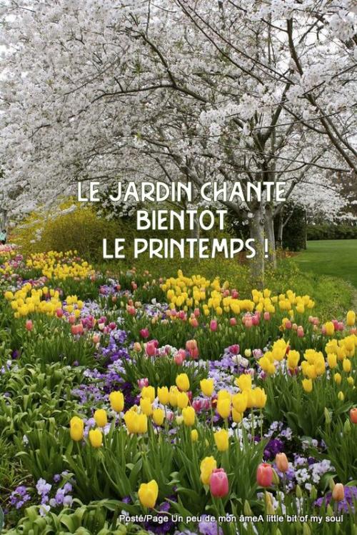 Sur le chemin du printemps