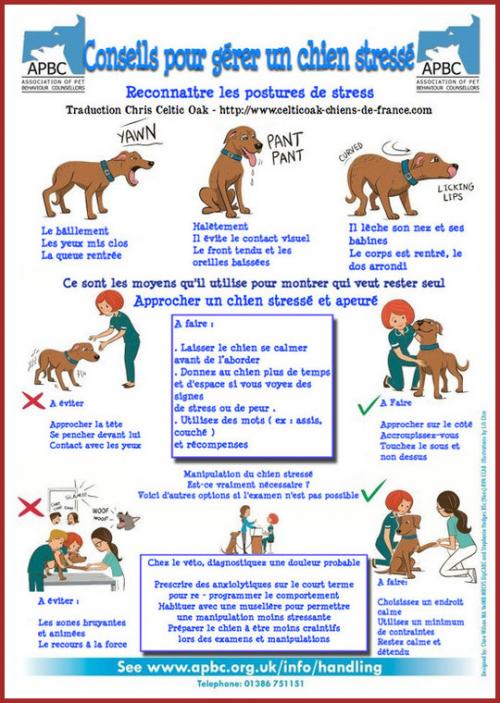 ღ꧁ღ╭⊱ꕥ Sa Fidélité  ꕥ⊱╮ღ꧂ღ