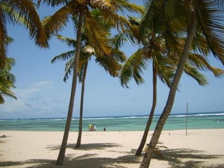 guadeloupe 13.jpg guadeloupe 13.jpg