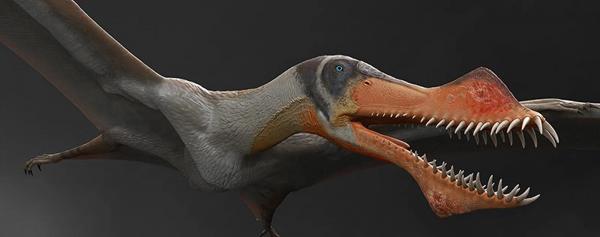 Les dinosaures volants