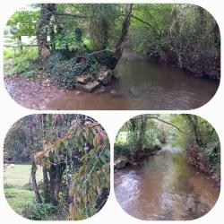 La balade du 15 octobre à Bretteville-sur-Odon