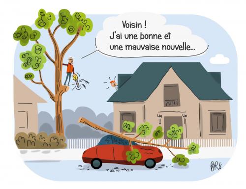 Songerie, mal venue...