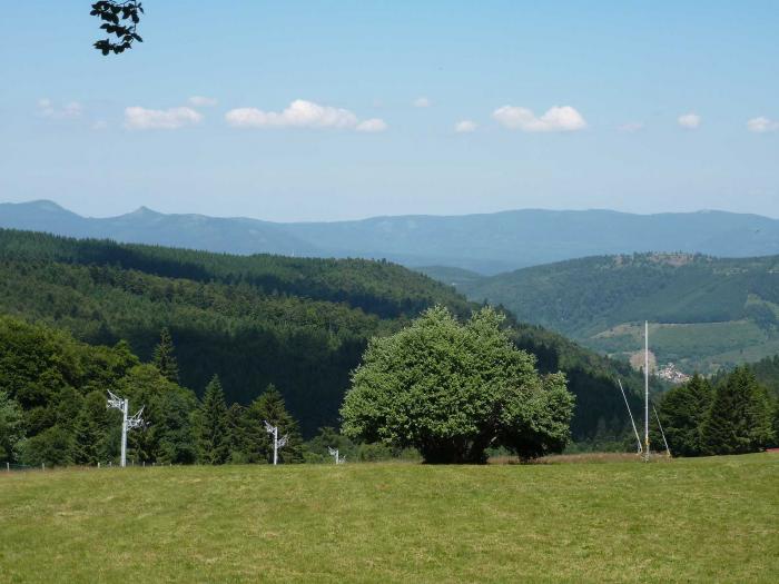 Département du Bas-Rhin
