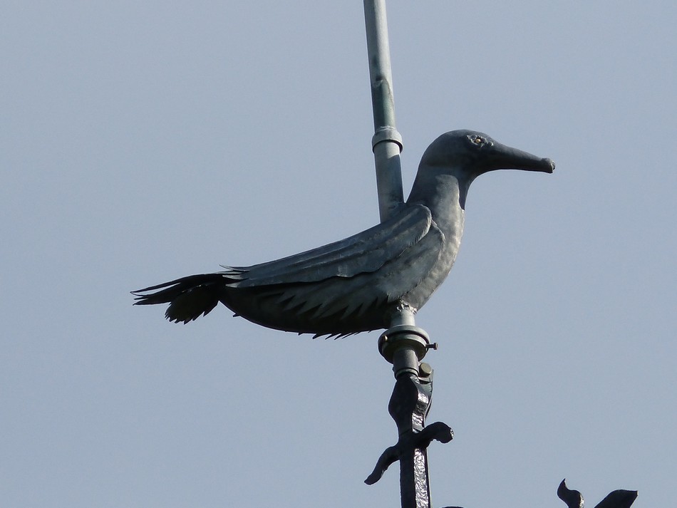 La Baie de la Somme (3) Le Cap Hornu