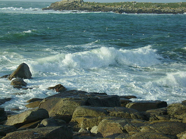 IMGP0035.JPG