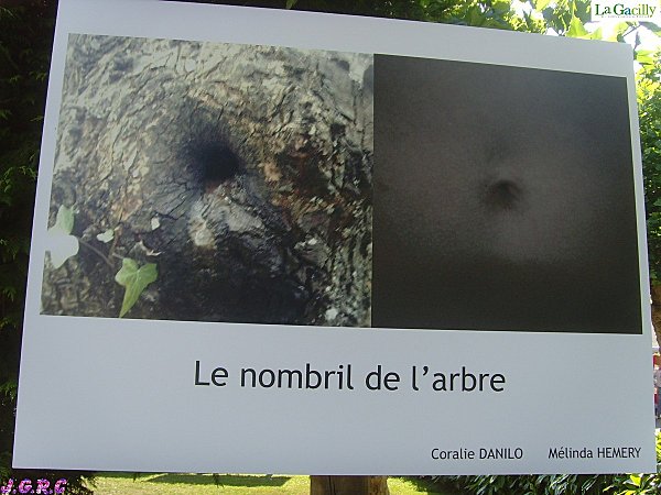 PHOTO-PEUPLES---NATURE-2010-LA-GACILLY-2-025.jpg