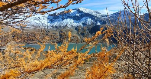 Allos "Féerie d'Automne"