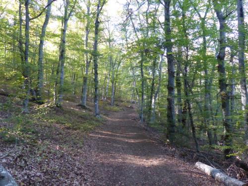 Col de Foureyssasse