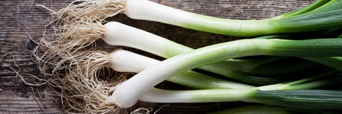 Légumes du mois de Juillet