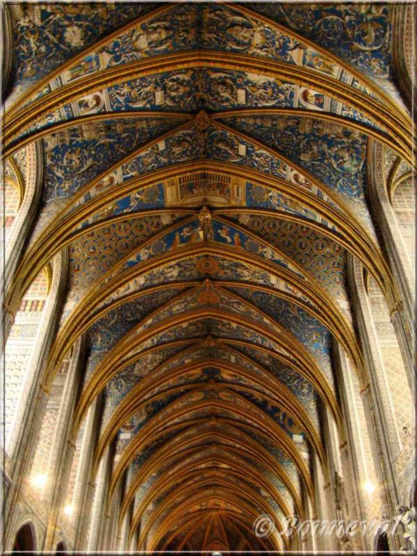 La Cathédrale Sainte-Cécile Grande Voûte de la Nef