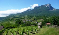 Lundi en une deux trois (Ou plus ... ) photos