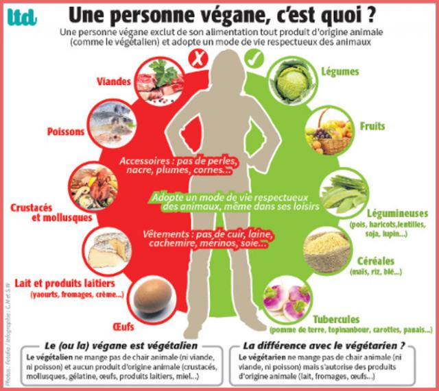ღ꧁ღ╭⊱ꕥ  Le Véganisme   ꕥ⊱╮ღ꧂ღ