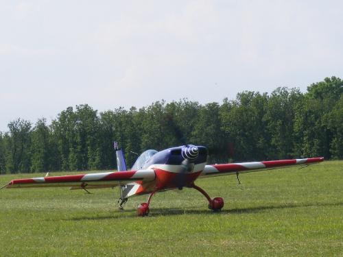 Le meeting aérien de la Ferté Alais  vu par Nicole Prévost, passionnée d'aviation...