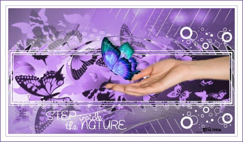 The Nature