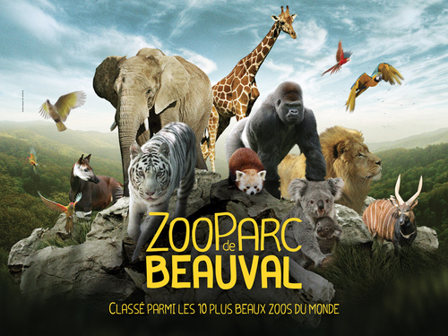 Résultat de recherche d'images pour "zoo beauval"