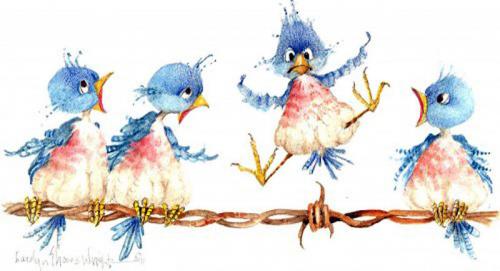Oiseaux fous!fous!