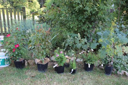Chambre d'ôtes "Haut-Jardin" à Vignoux-sous-les-Aix