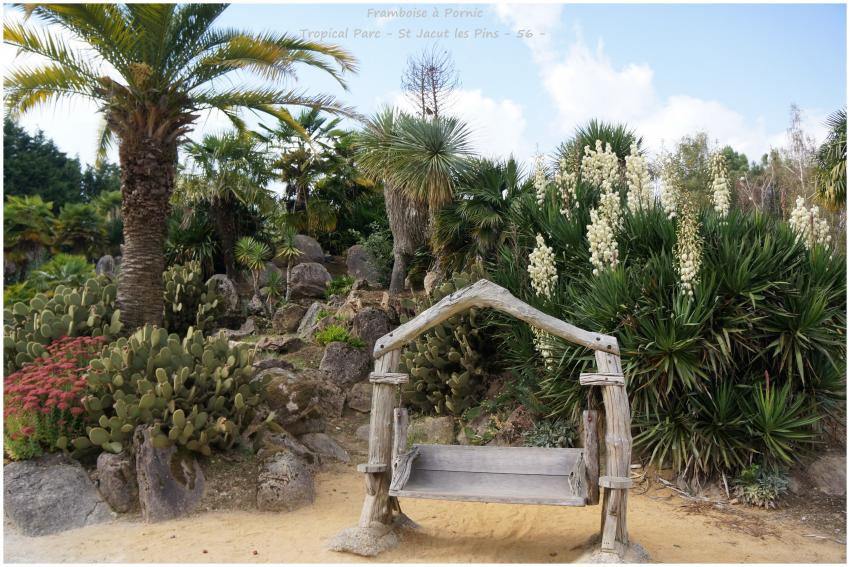 Tropical Parc St Jacut les Pins - 56 -