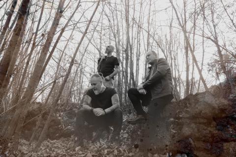 ETERNAL WHITE TREES - Les détails du premier album The Summer That Will Not Come