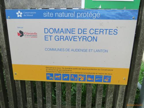 Audenge (33)