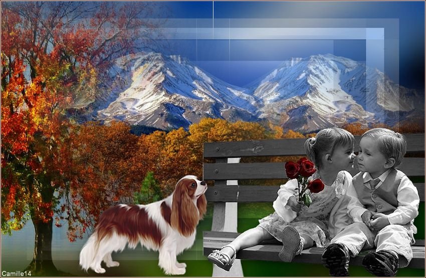 Tendres moments - Page 2 191113112117698715