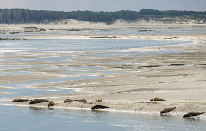 Département de la Somme