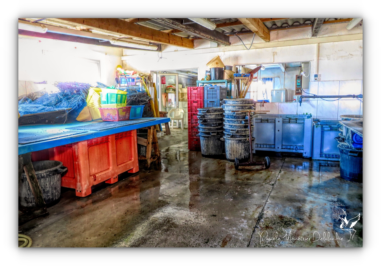 Urbex en HDR au Port conchylicole de Mèze
